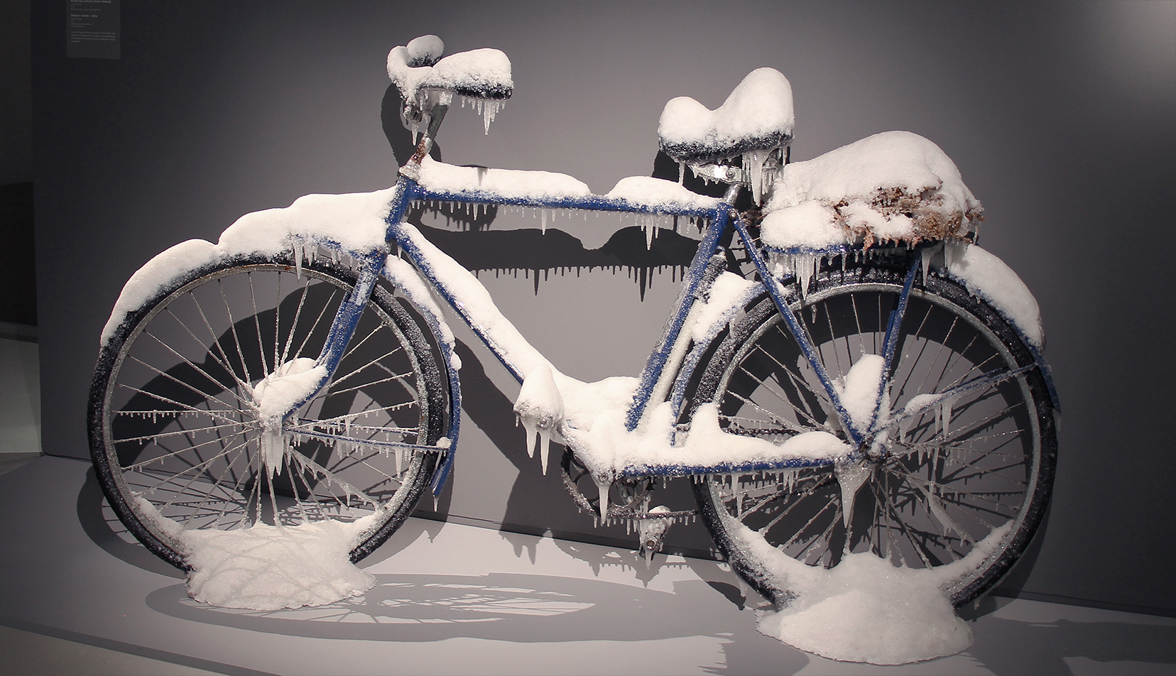 Photo de "Nature morte, vélo" de Laurent Pernot