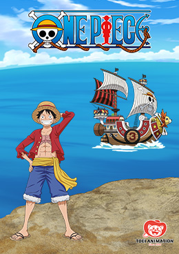 Visuel One Piece
